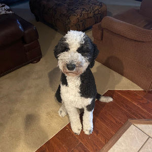 Meet your Posher, Scott